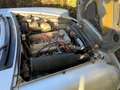 Alfa Romeo Spider *Scheuenfund* Silber - thumbnail 5