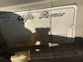 Alfa Romeo Spider *Scheuenfund* Argent - thumbnail 8
