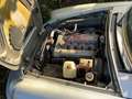 Alfa Romeo Spider *Scheuenfund* Silber - thumbnail 4