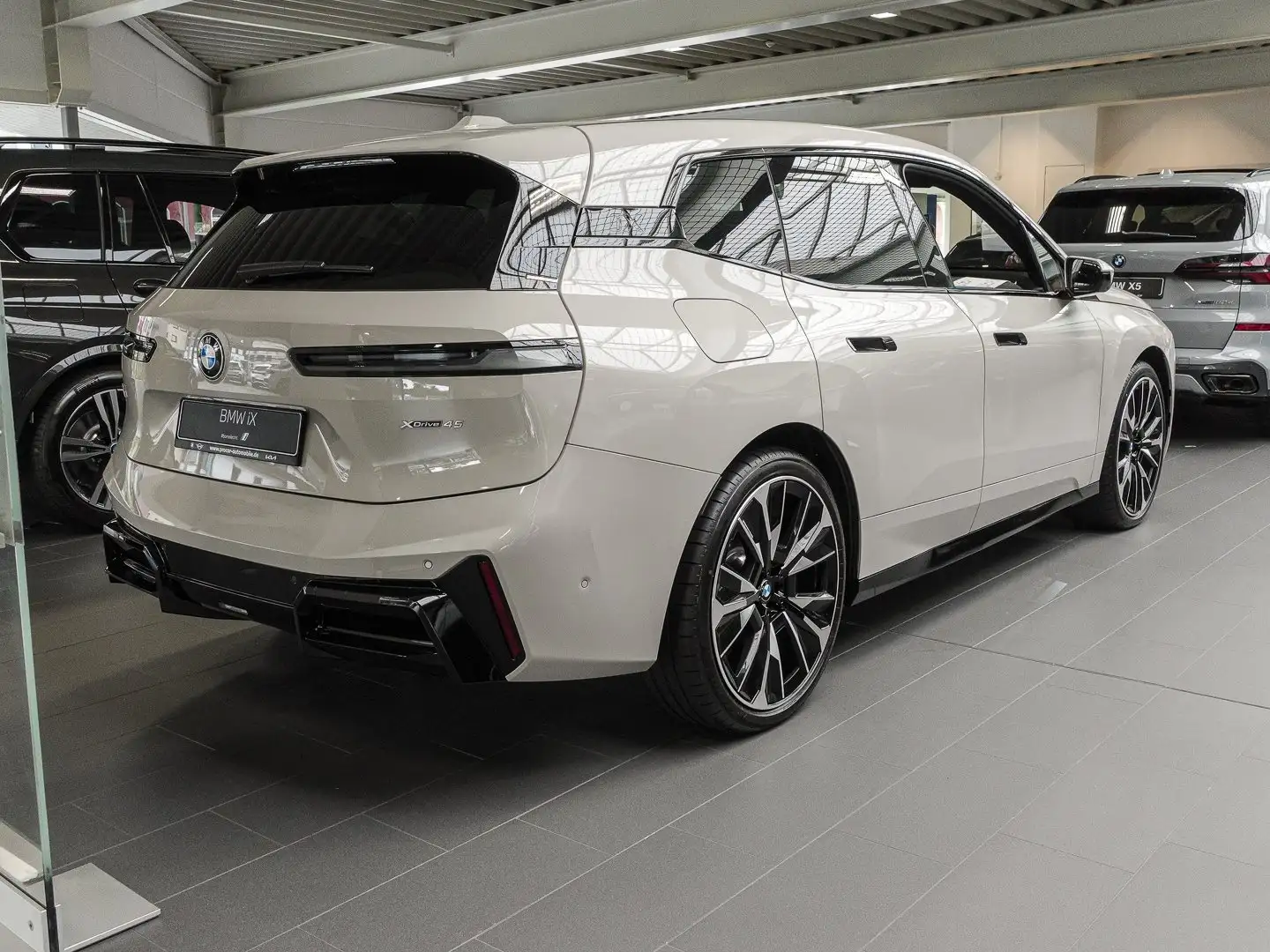 BMW iX xDrive45 MSportPro Inno.Pak DA.Prof PA.Prof Gris - 2