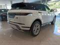 Land Rover Range Rover Evoque Evoque 2.0d i4 mhev R-Dynamic SE awd 150cv auto Blanco - thumbnail 5