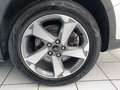 Ford Focus Active Aut/AHK/17"/Kamera/Winterp./1Hd. Plateado - thumbnail 19