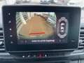 Nissan Primastar Kombi L2H1 3.0t Tekna 8Sitze/LED/Navi Gris - thumbnail 22