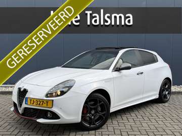 1.4 Turbo MultiAir Super | Electrisch panorama/sch