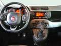 Fiat Panda 1.2 Lounge 51kW (69CV) Bleu - thumbnail 15