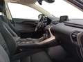 Lexus NX 300 300h Business 2WD Schwarz - thumbnail 6