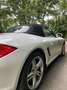 Porsche Boxster 987 Facelift Weiß - thumbnail 5