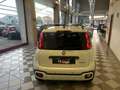 Fiat Panda Pandina Cross 1.0 firefly hybrid s Bianco - thumbnail 16
