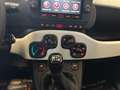 Fiat Panda Pandina Cross 1.0 firefly hybrid s Bianco - thumbnail 10