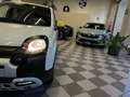 Fiat Panda Pandina Cross 1.0 firefly hybrid s Bianco - thumbnail 19
