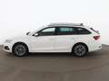 Skoda Octavia Combi 2.0 TDI Tour Aut LED RADAR NAVI PDC Weiß - thumbnail 6
