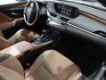 Lexus ES 300 2.5 300h Executive Gris - thumbnail 21