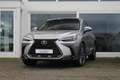 Lexus NX 450h+ Plug-in Hybrid AWD President Line I Pano I Mark Le Gris - thumbnail 1
