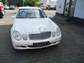 Mercedes-Benz E 200 CDI Elegance DPF Xenon Alu Tüv 7/2025 Weiß - thumbnail 4