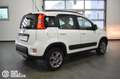 Fiat Panda 1.3 MJT 95 CV S&S 4x4 Bianco - thumbnail 4