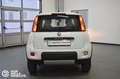 Fiat Panda 1.3 MJT 95 CV S&S 4x4 Bianco - thumbnail 5