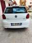 Volkswagen Polo Polo 1.2 TDI DPF 5 p. BlueMotion 89g Bianco - thumbnail 4