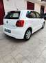Volkswagen Polo Polo 1.2 TDI DPF 5 p. BlueMotion 89g Bianco - thumbnail 5
