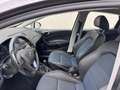 SEAT Ibiza Ibiza IV 2012 Berlina 5p 1.4 tdi cr Business Grigio - thumbnail 6