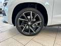 Skoda Karoq Sportline 1.5 TSI ACT DSG Navi LED ACC LaneAssist Weiß - thumbnail 21