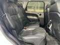 Land Rover Range Rover Sport 3.0 SDV6 292cv HSE Dynamic Weiß - thumbnail 13