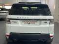 Land Rover Range Rover Sport 3.0 SDV6 292cv HSE Dynamic Weiß - thumbnail 5