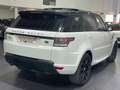 Land Rover Range Rover Sport 3.0 SDV6 292cv HSE Dynamic Weiß - thumbnail 6