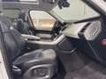 Land Rover Range Rover Sport 3.0 SDV6 292cv HSE Dynamic Weiß - thumbnail 15