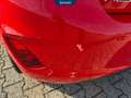 Ford Fiesta 5p 1.1 titanium gpl 75cv Rot - thumbnail 12