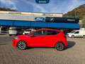 Ford Fiesta 5p 1.1 titanium gpl 75cv Rosso - thumbnail 7