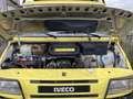 Iveco Daily 4x4 Yellow - thumbnail 10