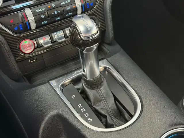 Ford Mustang view 21