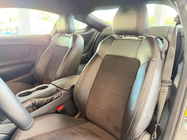 Ford Mustang view 13