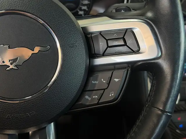 Ford Mustang view 26
