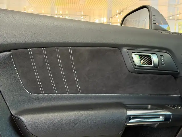 Ford Mustang view 27