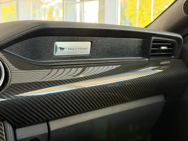Ford Mustang view 23