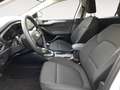 Ford Focus Lim. Titanium 1.0l EcoBoost Mild-Hybrid 6-Gang Nav Weiß - thumbnail 8