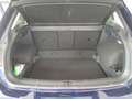 Volkswagen Tiguan 2.0 tdi Executive  DSG 4motion 150cv BMT Bleu - thumbnail 33