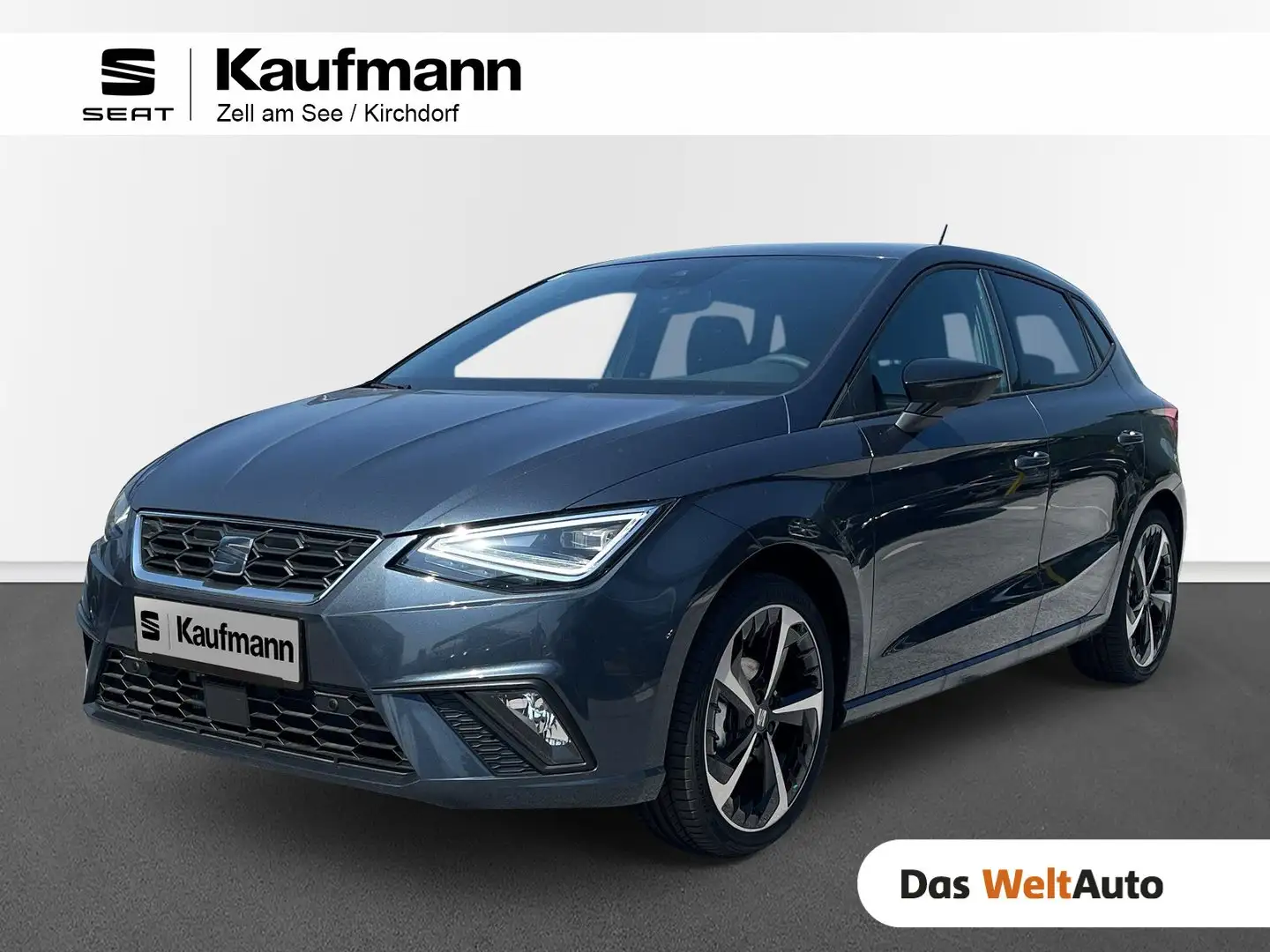 SEAT Ibiza FR Edition 1.0 TSI Gris - 1