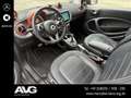 smart forTwo fortwo 66 kW | BRABUS asphaltgold JBL PANO RDK Gris - thumbnail 6