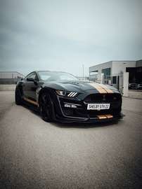 Shelby GT500H NR 7 of 25