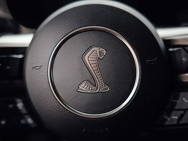 Ford Mustang Shelby GT500H NR 7 of 25 Ansicht 24