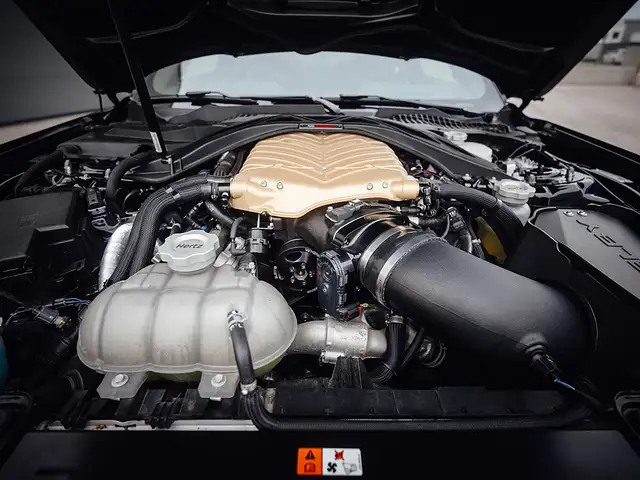 Ford Mustang Shelby GT500H NR 7 of 25 Ansicht 30