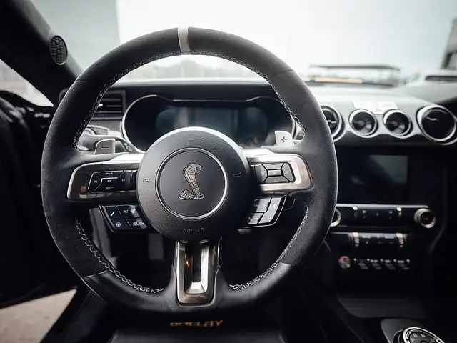 Ford Mustang Shelby GT500H NR 7 of 25 Ansicht 22