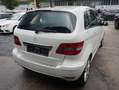 Mercedes-Benz B 180 B 180 CDI Automatik Weiß - thumbnail 8