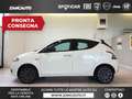 Lancia Ypsilon 1.0 FireFly 5 porte S&S Hybrid Oro MY24 Bianco - thumbnail 1
