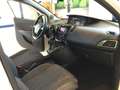 Lancia Ypsilon 1.0 FireFly 5 porte S&S Hybrid Oro MY24 Bianco - thumbnail 14