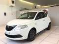 Lancia Ypsilon 1.0 FireFly 5 porte S&S Hybrid Oro MY24 Bianco - thumbnail 3