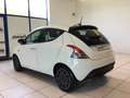 Lancia Ypsilon 1.0 FireFly 5 porte S&S Hybrid Oro MY24 Bianco - thumbnail 6
