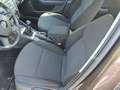 Skoda Octavia Combi Ambition TÜV NEU Brun - thumbnail 11